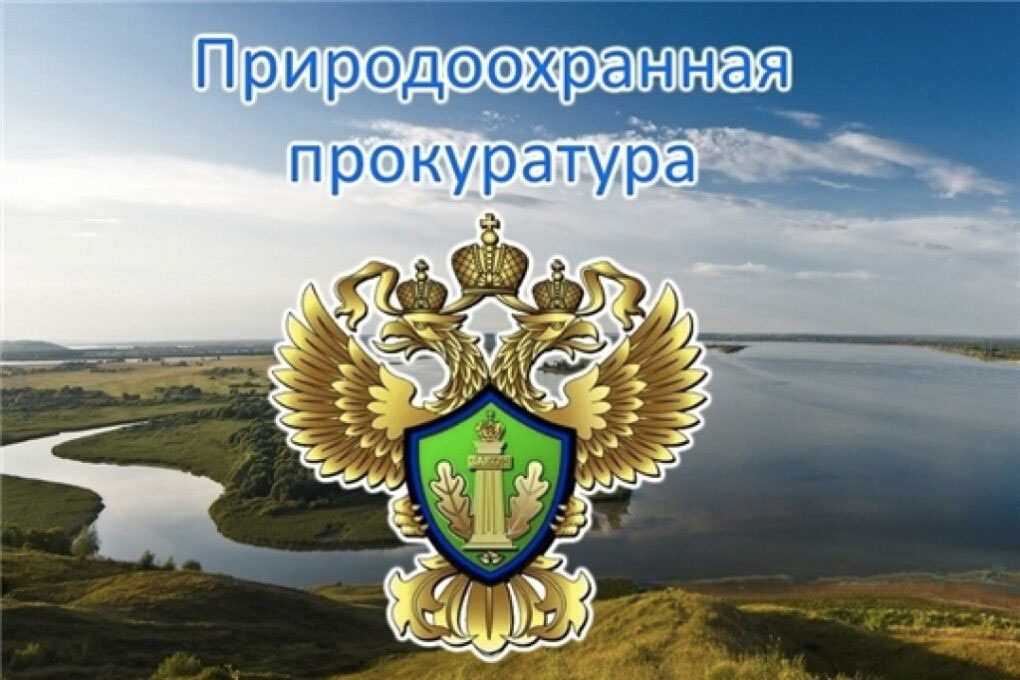 Требования к предотвращению гибели объектов животного мира при осуществлении производственных процессов, а также при эксплуатации транспортных магистралей, трубопроводов и линий связи и электропередачи.